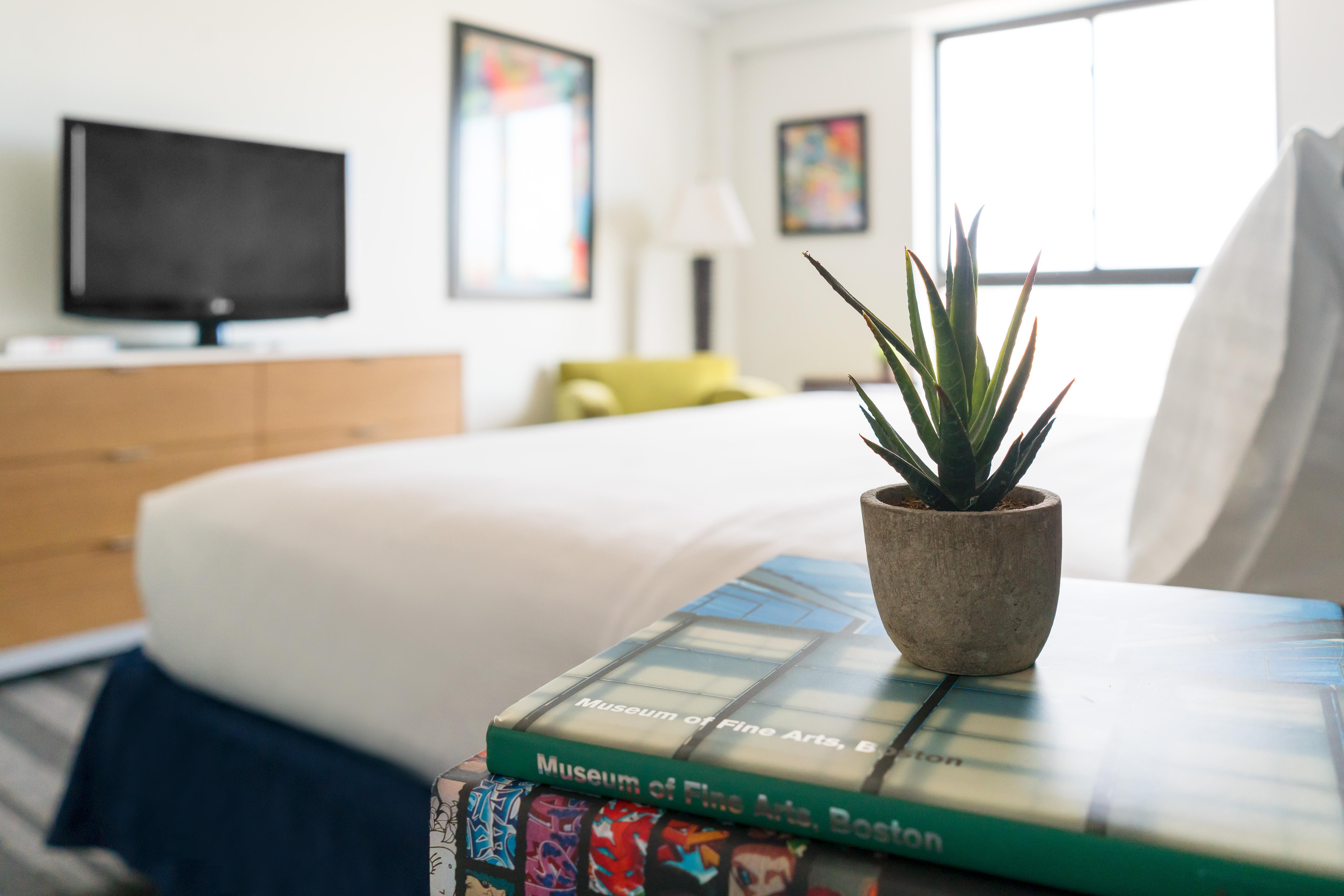Studio Allston Hotel Boston Eksteriør billede
